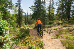 El-sykkel på fjellet